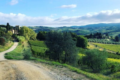Hiking Tuscany & Chianti Wine - 3 Organic Wineries with lunch - Getting to Chianti from Florence: simple pickup and return