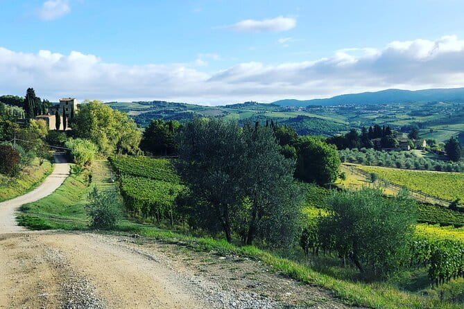 Hiking Tuscany & Chianti Wine - 3 Organic Wineries with lunch - Getting to Chianti from Florence: simple pickup and return