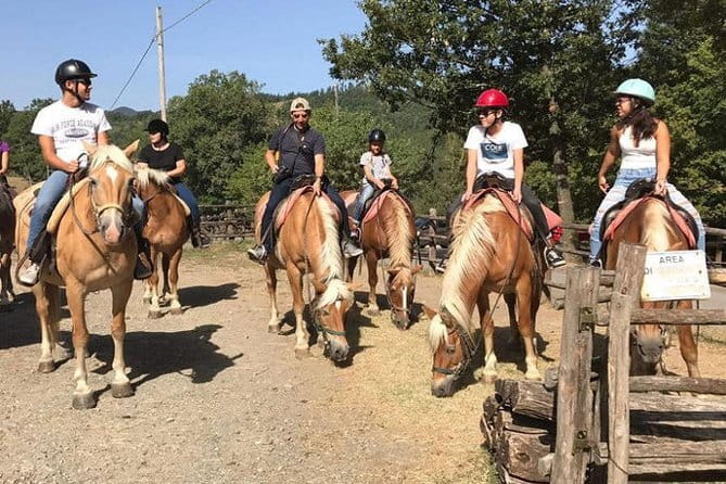 Horse ride in the Mugello (transfer from / to Florence) and Tuscan aperitif - Why Mugello Makes a Better Day Trip Than a Standalone Horse Ride