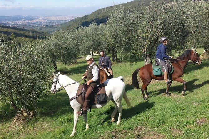 Horse ride, Olive Oil and local foods tasting in a Tuscan farm - Key Highlights You’ll Actually Notice