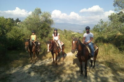 Horse ride, Olive Oil and local foods tasting in a Tuscan farm - The Horseback Ride: Matched to You, Not to a Script