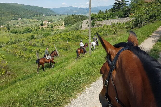 Horseback ride and gourmet cuisine in a historic food shop - Getting to the stables from Florence is half the stress removed
