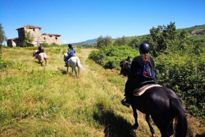 Horseback ride and Poolside Day chillout with Tuscan Lunch - The 1h15 horseback ride on the Chianti hills (with instructor Ester)