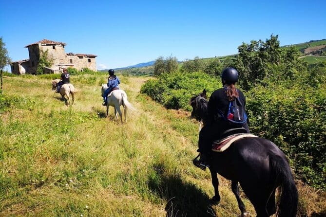 Horseback ride and Poolside Day chillout with Tuscan Lunch - The 1h15 horseback ride on the Chianti hills (with instructor Ester)