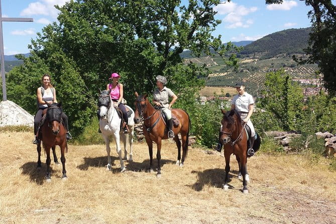 Horseback riding & Wine Tasting and snack Lunch at noble Estate - One Hour in the Saddle: What Private Really Changes