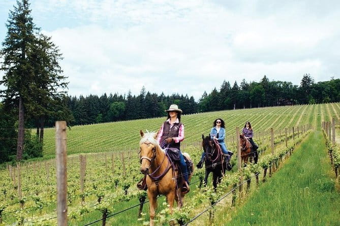 Horseback riding & Wine Tasting and snack Lunch at noble Estate - How Long It Takes and How the Day Feels