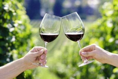 Horseback Riding with Wine Tour from Florence - San Gimignano’s medieval towers: Piazza della Cisterna to gelato breaks