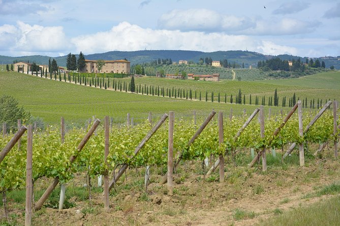 It's Wine Time! 2 wineries & farm-to-table lunch—max 8 pp - Transportation from Florence: Easy, But No Hotel Pickup