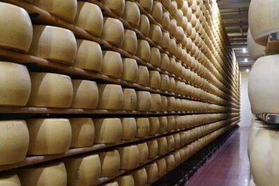 Journey through Italian Cheese - The pairing format: five cheeses, different milks, different ages