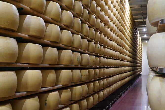 Journey through Italian Cheese - The pairing format: five cheeses, different milks, different ages