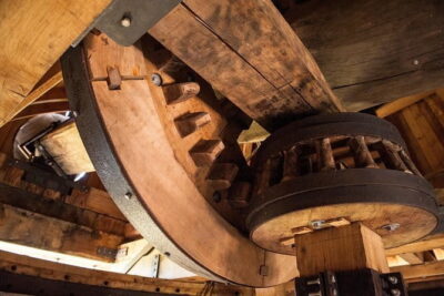 Leonardo Da Vinci's wind mill visit and Organic olive oil tasting - Stop 1: Bottega del Mulino at Fattoria Lavacchio (Olive Grove + Mill Tour)
