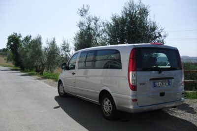 Livorno Port, Pisa, Florence: Full-Day Shore Excursion - Leaning Tower and skip-the-line: what your ticket prep really changes
