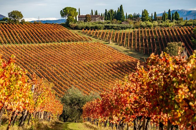 Livorno Shore Excursion: Chianti and Tuscany Countryside Private Wine Tour - Lunch near the wineries: La Locanda di Pietracupa is an easy option, not a requirement