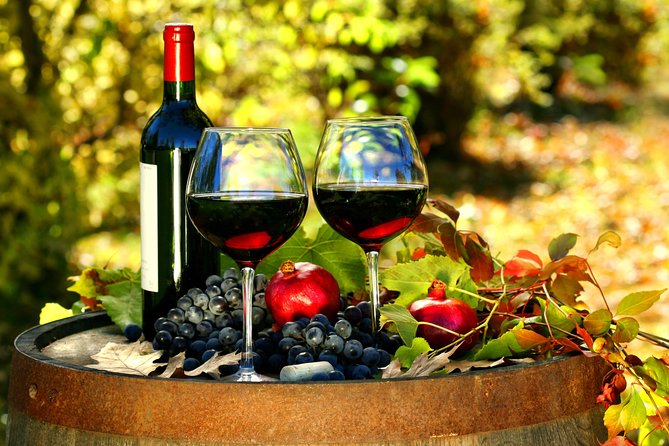 Livorno Shore Excursion: Chianti and Tuscany Countryside Private Wine Tour - Private driver-guide: why the best days feel personal