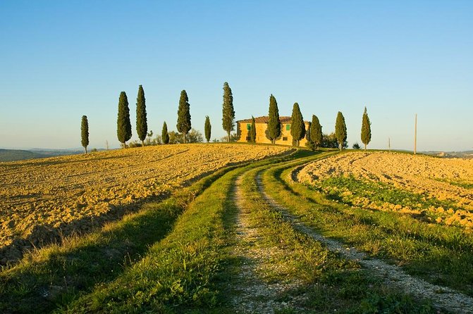 Livorno Shore Excursion: Chianti and Tuscany Countryside Private Wine Tour - Price and value: what you’re paying for at $553.90 per person