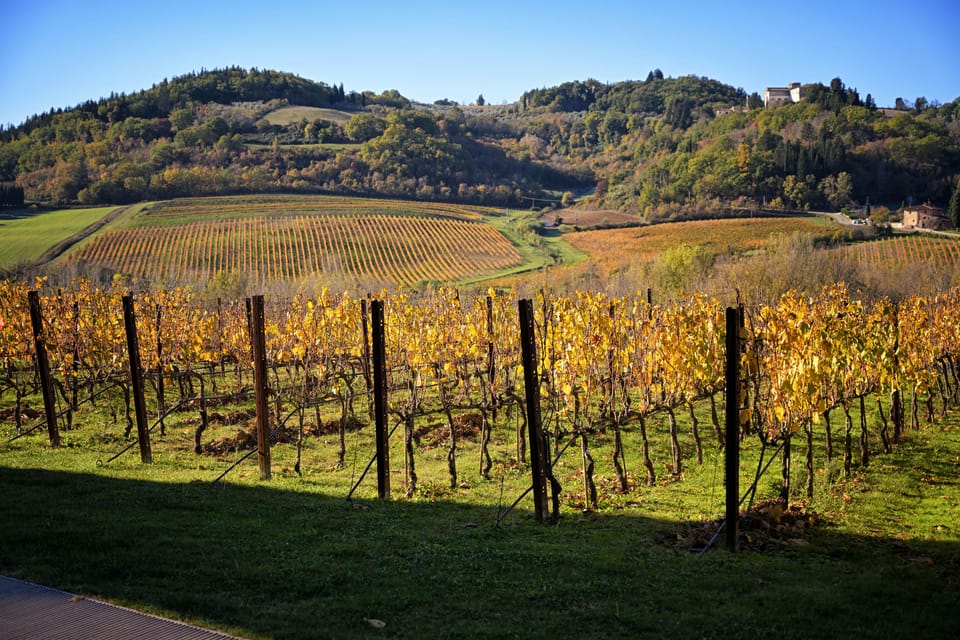 Magic Tuscany Tour - Pienza: the lunch or aperitivo stop that makes it feel real