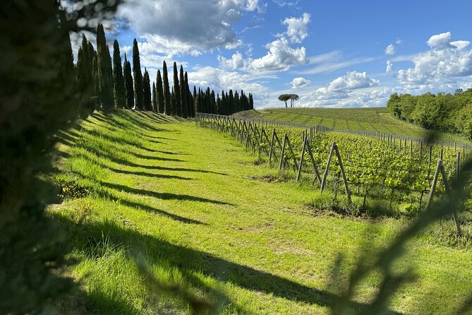 MONTALCINO Private E-Bike & Brunello Winery Experience - How the private e-bike format works (and why it matters)
