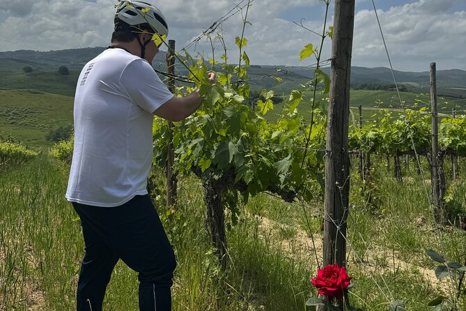 MONTALCINO Private E-Bike & Brunello Winery Experience - Price and value: what $412.84 buys you