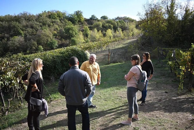 Montalcino wine tour - The Real Idea Behind This Montalcino Wine Tour
