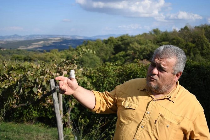 Montalcino wine tour - Conti Costanti Historical Cellar: Learning the Long View