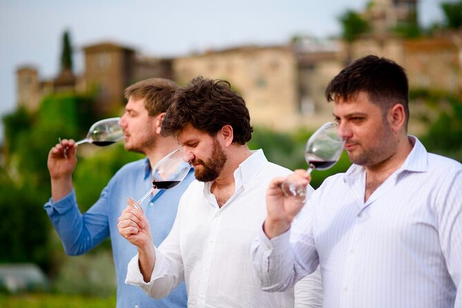 Montefioralle Winery - Tour and Wine Tasting in Chianti - Entering Montefioralle: where the views do the talking