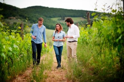 Montefioralle Winery - Tour and Wine Tasting in Chianti - The exact wines you’ll taste (and what makes each one different)