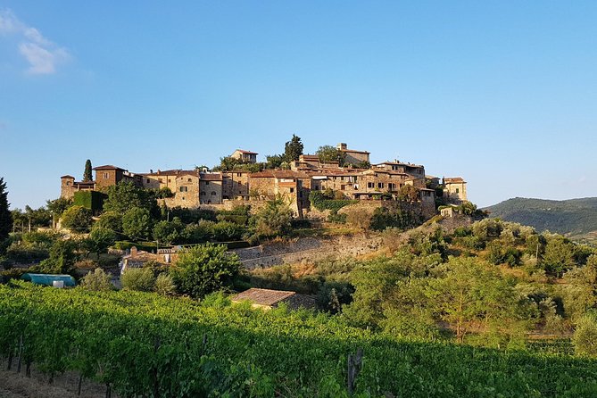 Montefioralle Winery - Tour and Wine Tasting in Chianti - Who this is best for (and who might want a different style of tour)
