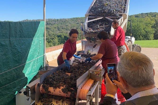 Montepulciano Pienza Montalcino Tour from Florence - The Montepulciano–Pienza–Montalcino Route That Actually Fits a Day