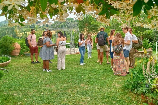 My Tuscan Farm - Three Experiences in One Day - The organic farm walk: olive trees, vineyards, and herb spotting
