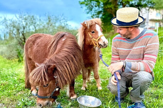 My Tuscan Farm - Three Experiences in One Day - Pasta-making: ravioli and fresh fettuccine, taught at human speed