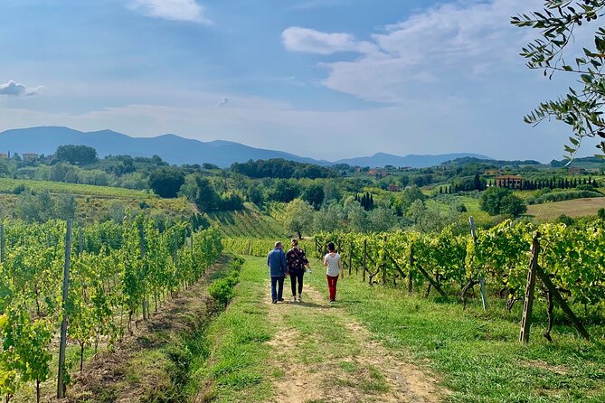 Pisa and Lucca Tour from Florence - The Real Edge: What a Pro Guide Adds to Pisa and Lucca