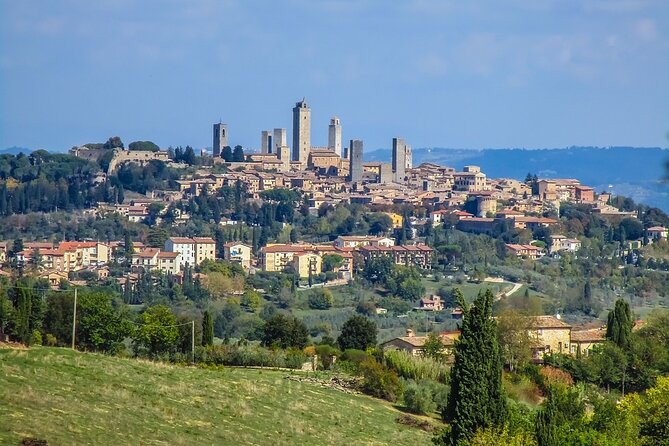 Pisa and San Gimignano Tour from Florence - Lunch and Wine Tasting: What’s Optional and How to Plan It