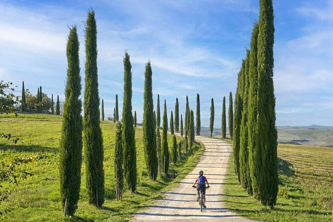 Pisa, Siena and San Gimignano Day Trip with Lunch & Wine Pairing - Logistics That Actually Matter: Walking, Group Size, and Staying on Schedule