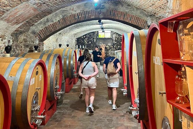 Pisa, Vinci, Tuscany, Wine tasting all in one day! - Small Group - Tuscany Winery Stop: Wine + Olive Oil You Can Taste