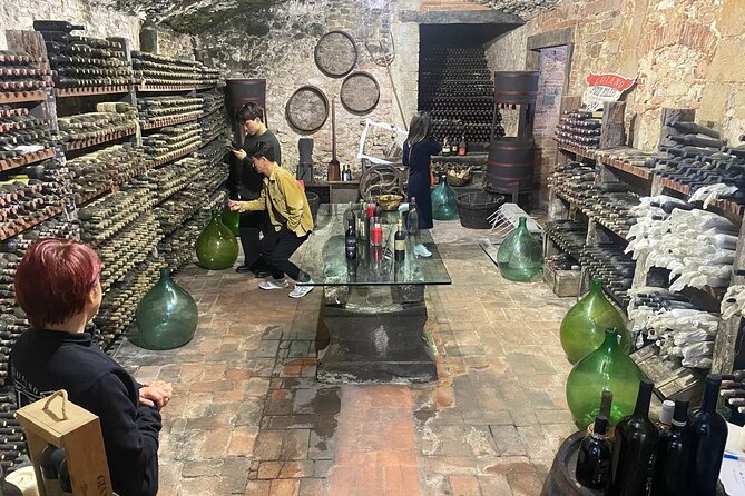 Pisa, Vinci, Tuscany, Wine tasting all in one day! - Small Group - Timing and the Return to Florence: You’ll Still Have Evening Plans