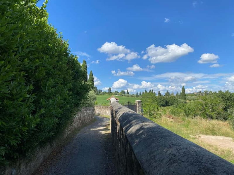 Premium Chianti E-Bike Tour, Food Wine Tasting + Photo shoot - Key things that make this tour worth your time