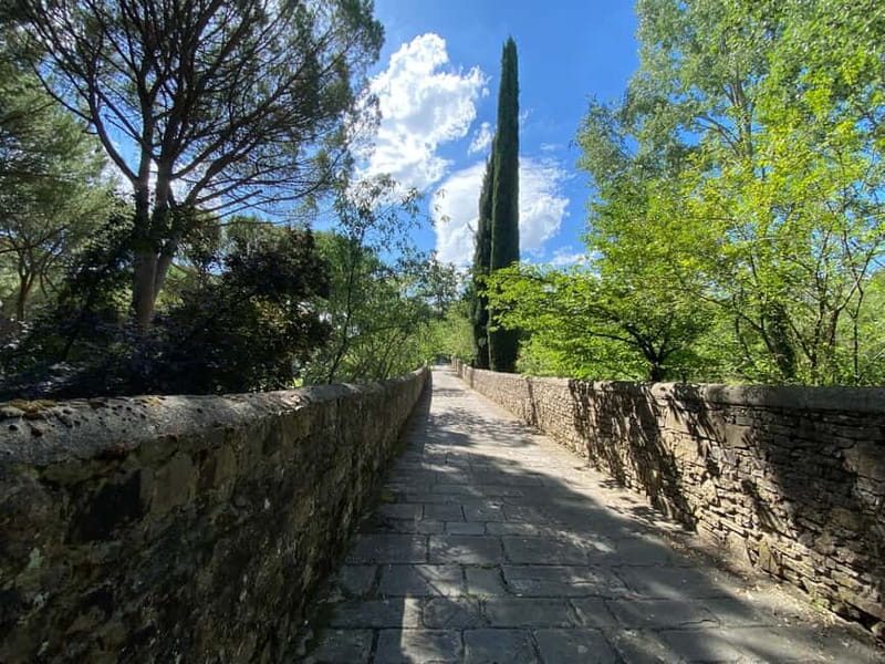 Premium Chianti E-Bike Tour, Food Wine Tasting + Photo shoot - Price and what you’re actually getting for $133.22