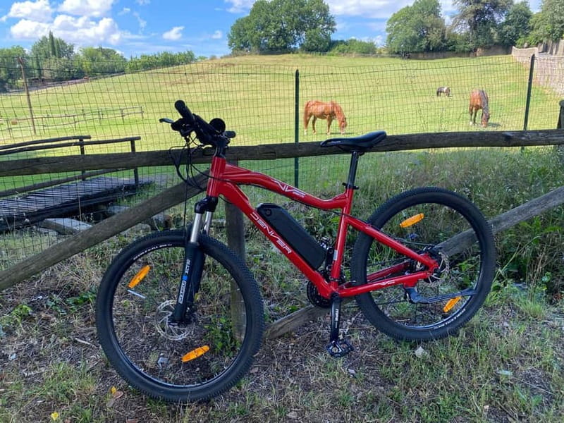Premium Chianti E-Bike Tour, Food Wine Tasting + Photo shoot - FAQ