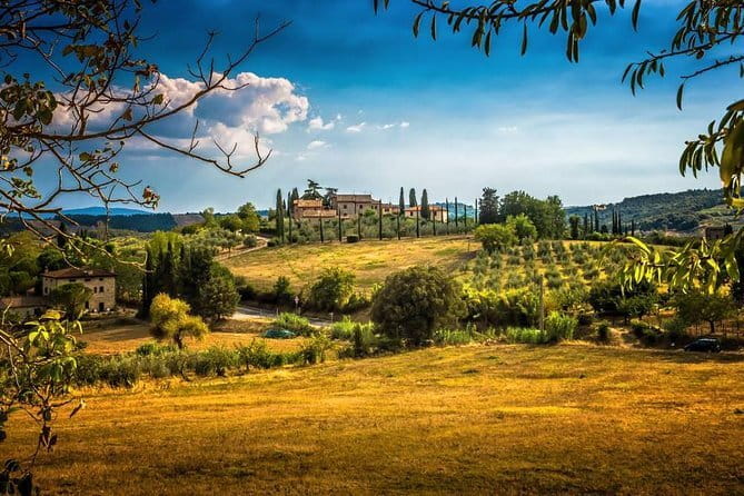 Private Carmignano Tour: The First Cabernet Sauvignon in Tuscany - Key highlights you’ll actually feel