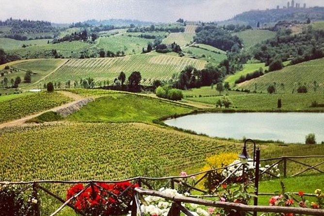 Private Chianti Classico Tour with wine and food tasting in a Historic Estate - Key moments worth noting