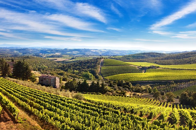 Private Chianti Classico Tour with wine and food tasting in a Historic Estate - A Half-Day Chianti Escape That Actually Feels Like Tuscany