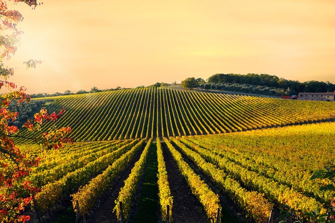 Private Chianti Classico Tour with wine and food tasting in a Historic Estate - Price and Value: Is $341.36 per Person Fair for a Private Tour?