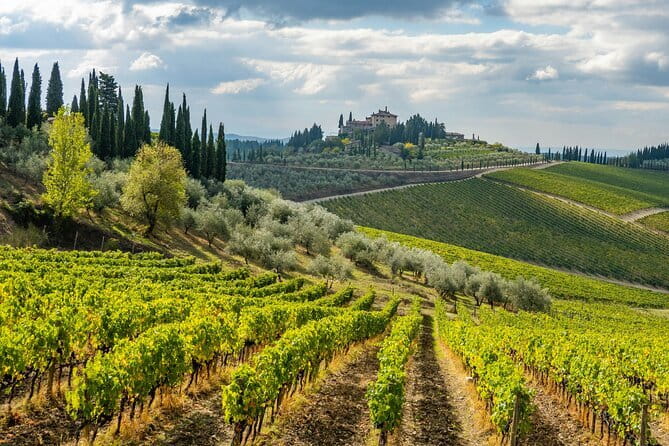 Private Chianti Safari: Off Road Tuscany Wine Tour with Lunch from Florence - What the wine and food tastings teach you (not just what they taste like)