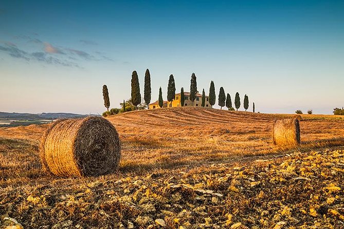 Private Chianti Tuscany Wine Tasting Tour from Florence - Key points before you go
