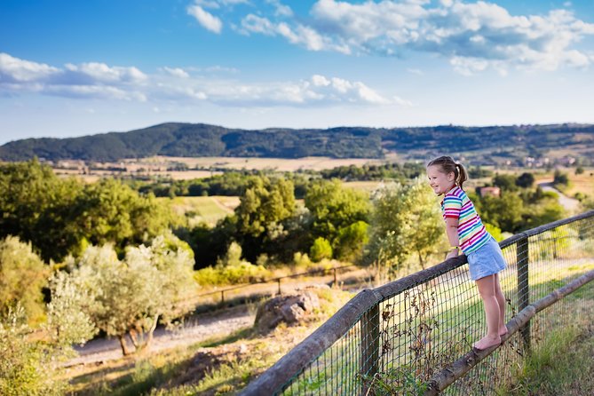 Private Chianti Tuscany Wine Tasting Tour from Florence - The scenic drive along Strada Statale 222 Chiantigiana