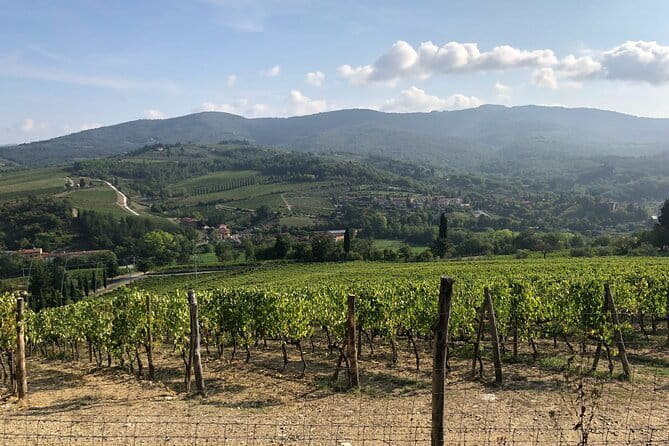 Private Chianti Wine Tasting from Florence, Half Day Experience - Why a private Chianti Hills driver from Florence matters