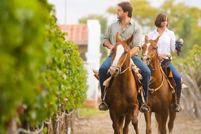 Private Chianti with Lunch Half Day from Florence - Tuscan lunch with 0 km products: why it pairs better than you expect