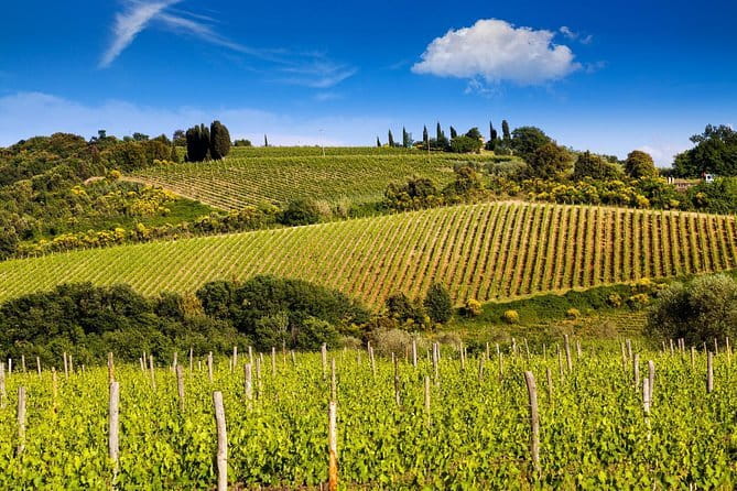 Private Classic Wine Tour in Chianti from Florence - Key Highlights Worth Your Attention