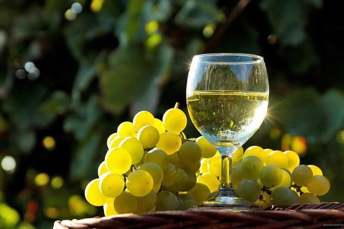 Private Classic Wine Tour in Chianti from Florence - Getting Started at Piazzale di Porta Romana (and Why It Helps)