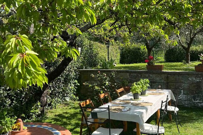 Private Cooking Lesson with a Typical Italian Family - Dinner with local products and wine: how the meal earns its place